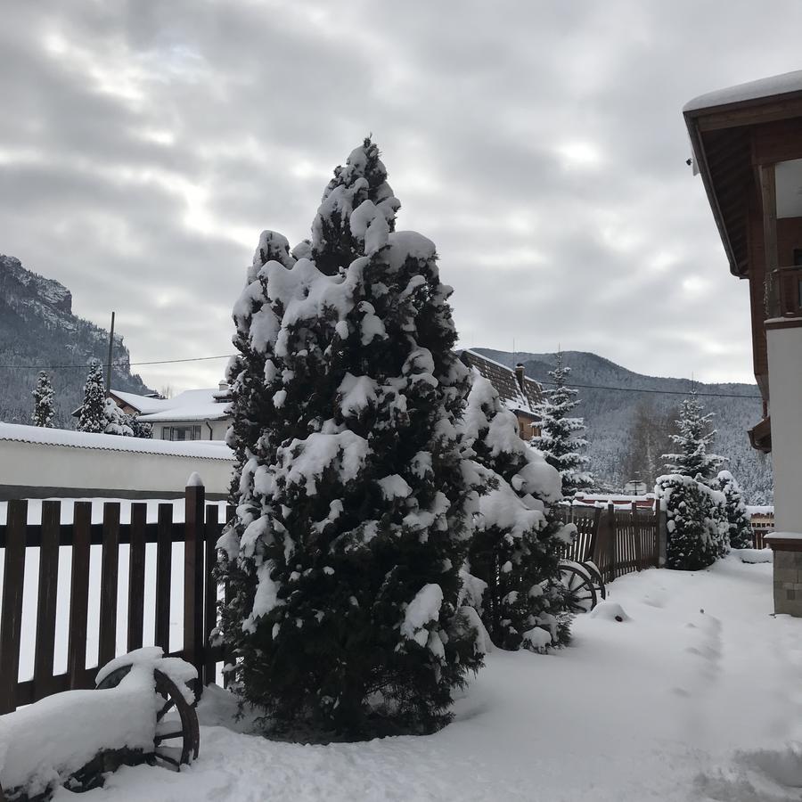 ساموكوف Boutique Hotel The White Pine المظهر الخارجي الصورة