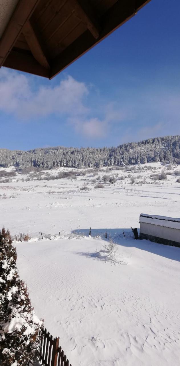ساموكوف Boutique Hotel The White Pine المظهر الخارجي الصورة
