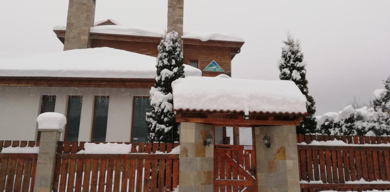 ساموكوف Boutique Hotel The White Pine المظهر الخارجي الصورة