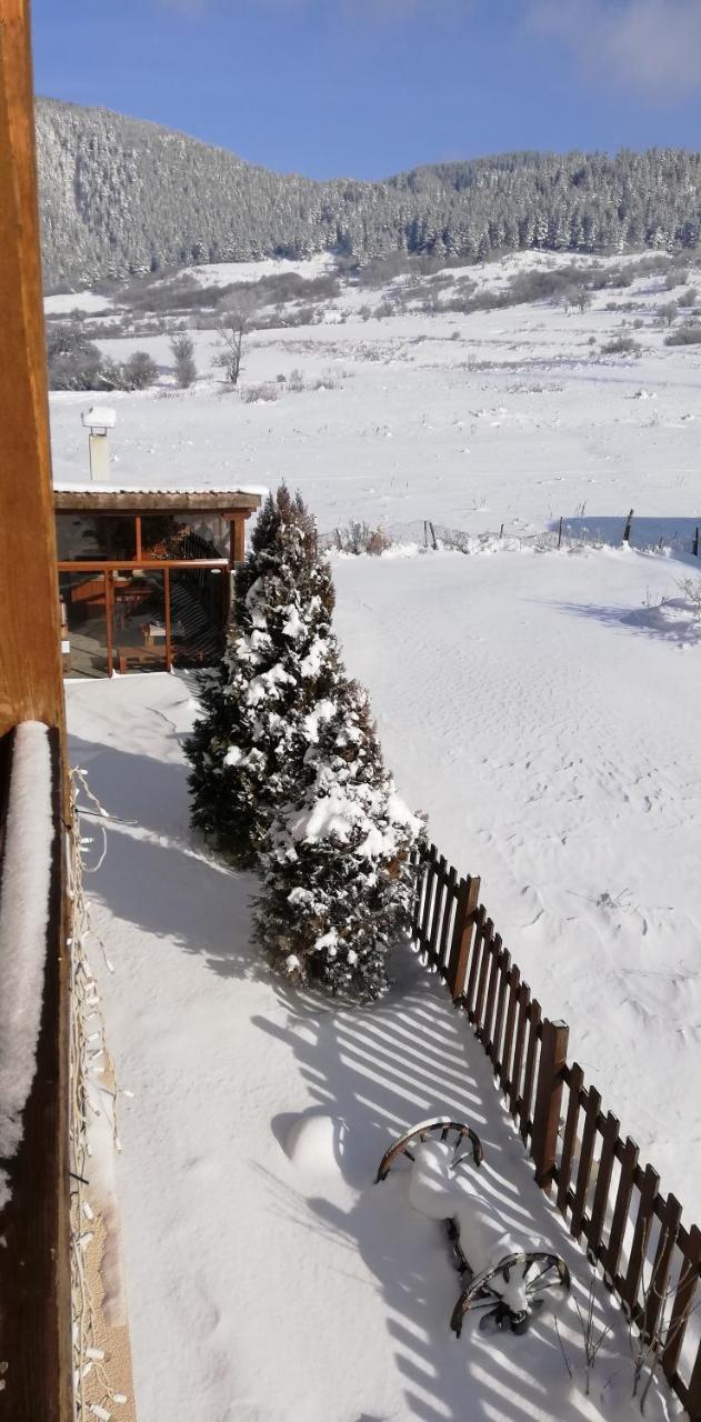 ساموكوف Boutique Hotel The White Pine المظهر الخارجي الصورة